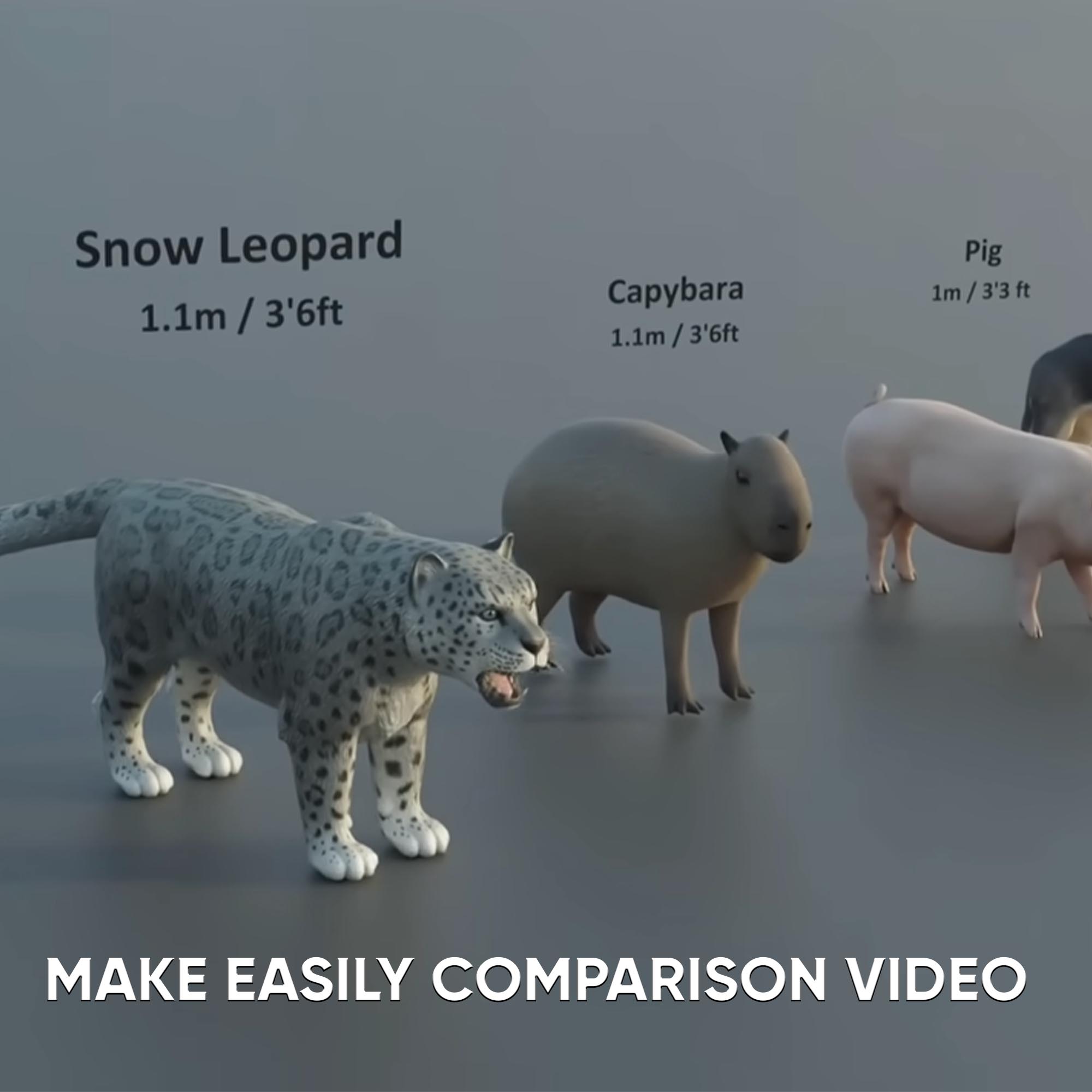 4 Comparison 3D Animal's Package - Image 5