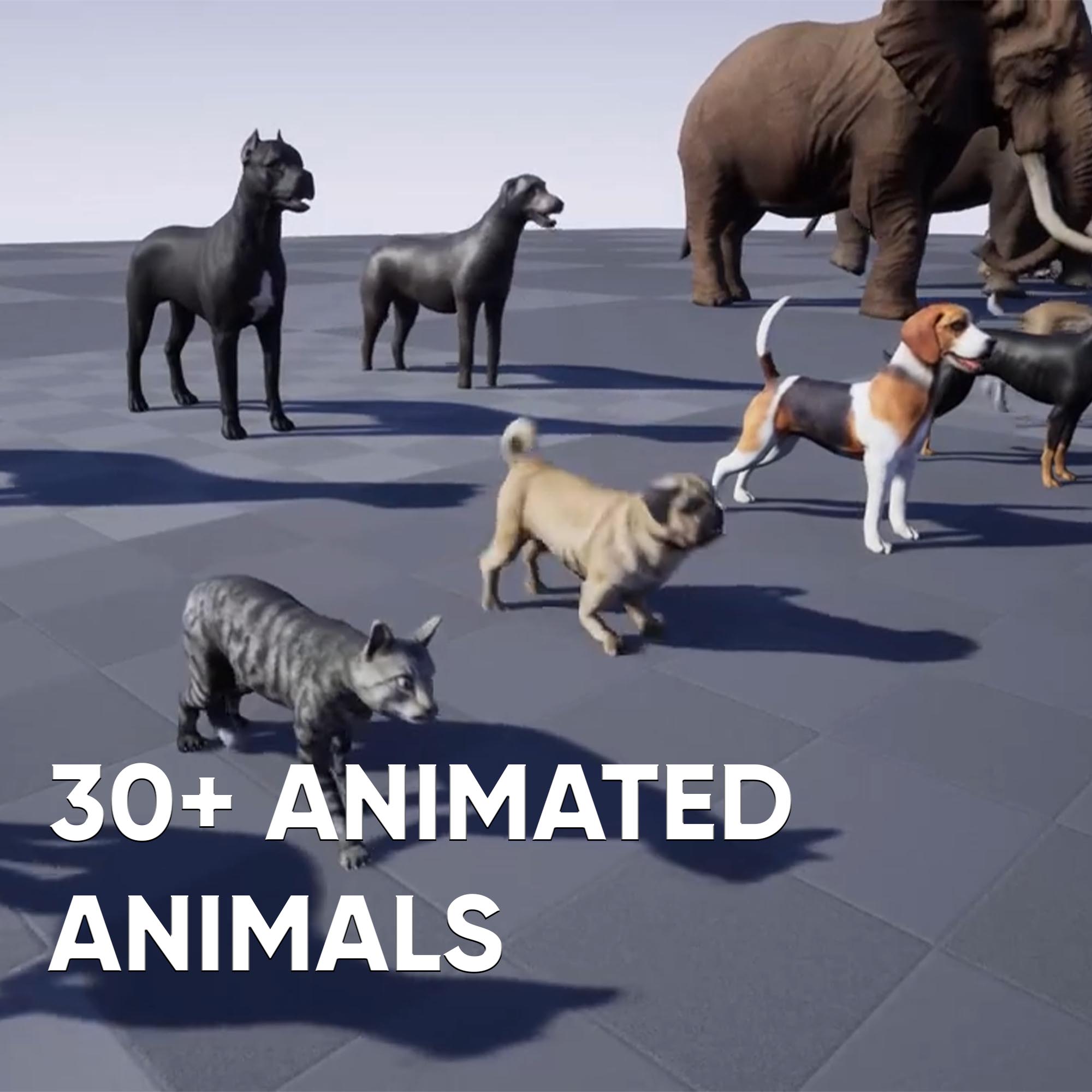 3 Comparison 3D Animal's Package - Image 2
