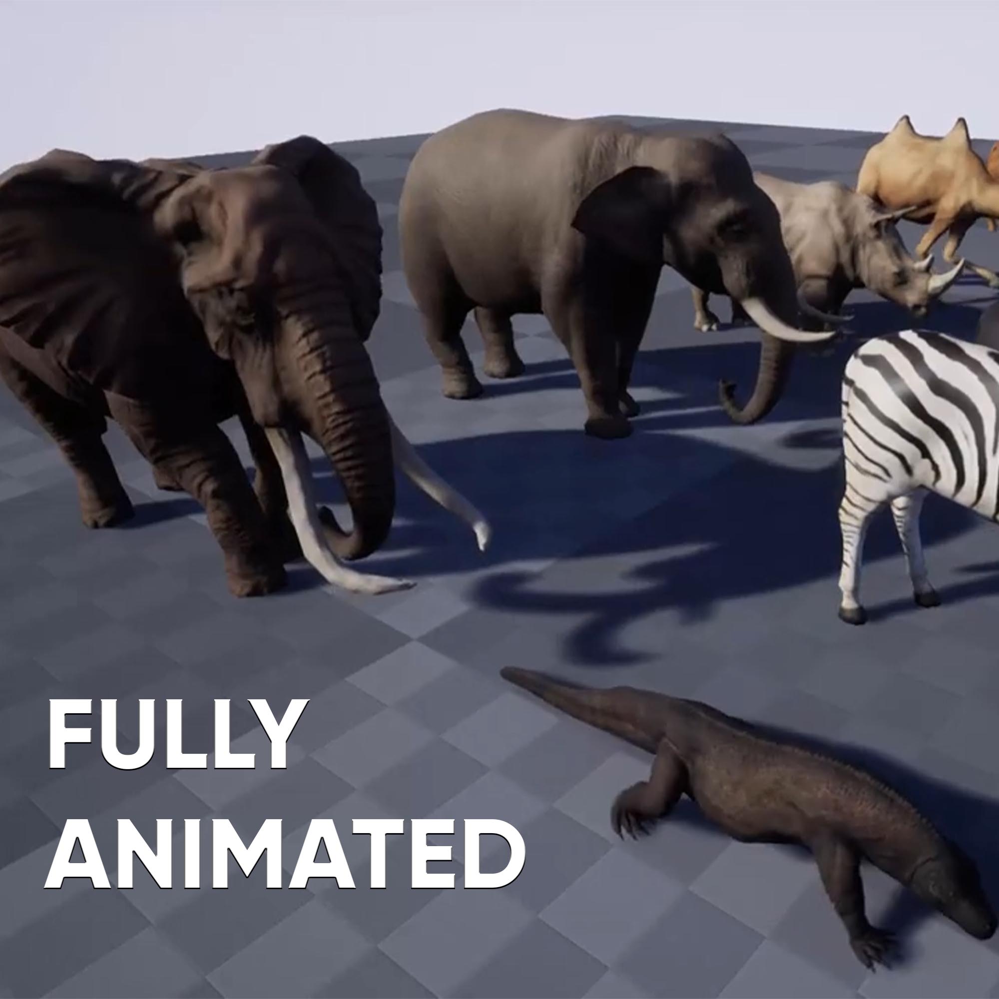 1 Comparison 3D Animal's Package - Image 3